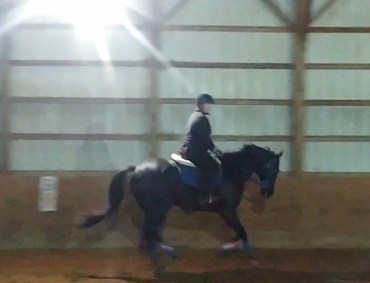 15129029_1522408617775271_3778938924231260063_o