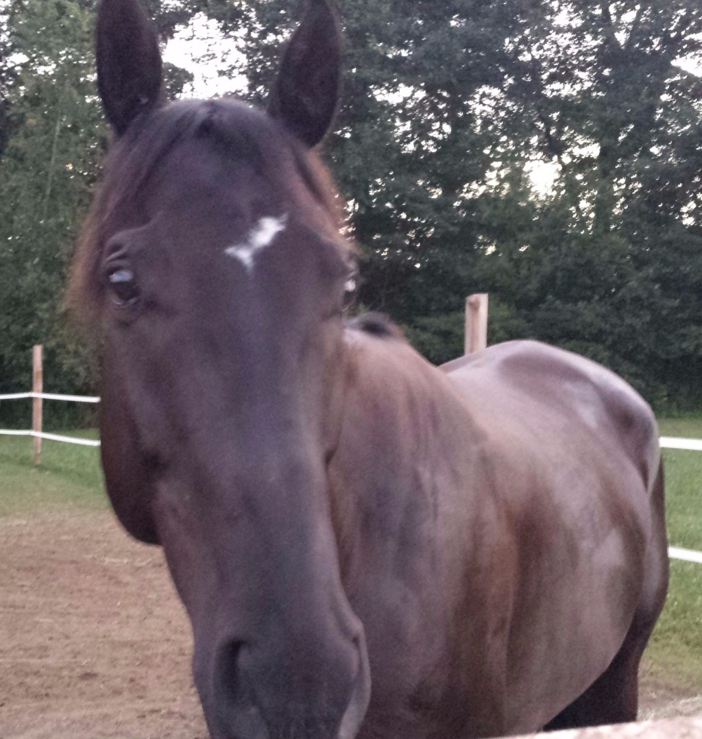 Updates on My Favorite Topic…Ulcers