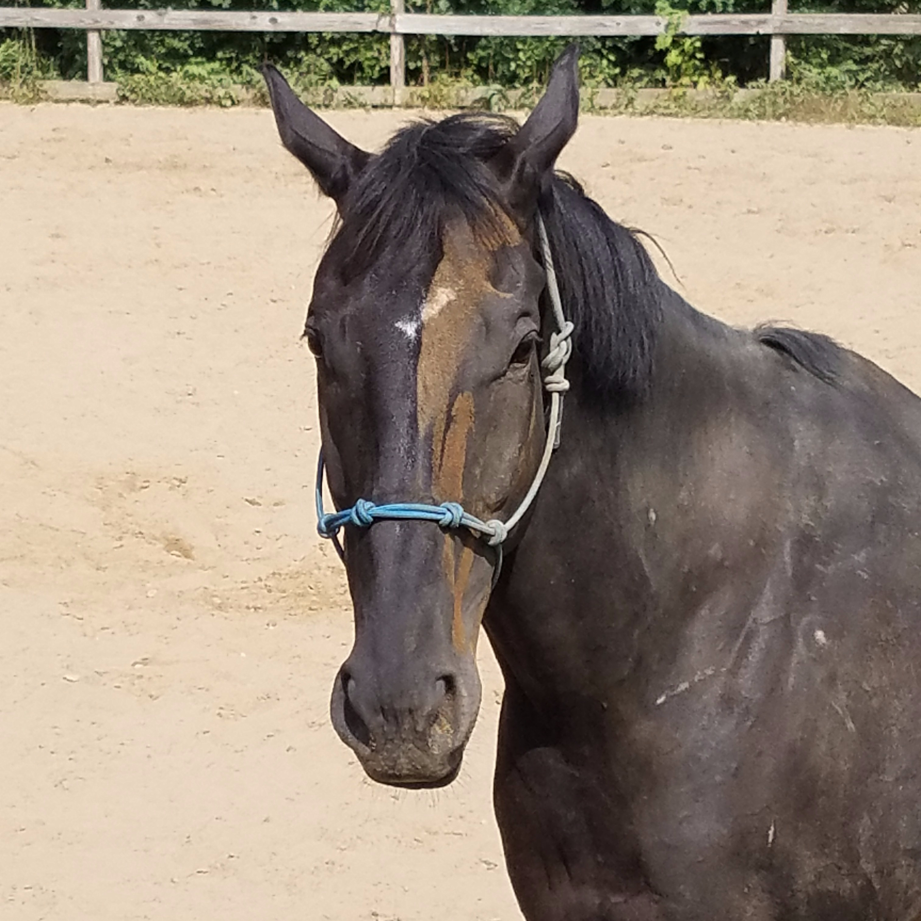 20170826_151029_1503782640056