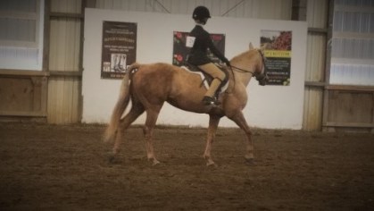 3026565844024954793-account_id=1