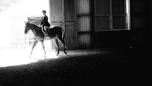 8586239636195432445-account_id=1