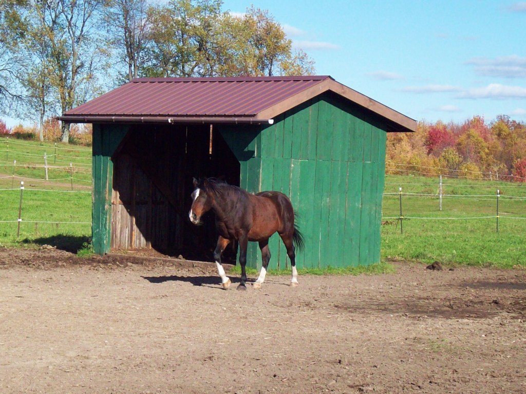 Avoid Drama in Your Lease By Having This Conversation&nbsp;First