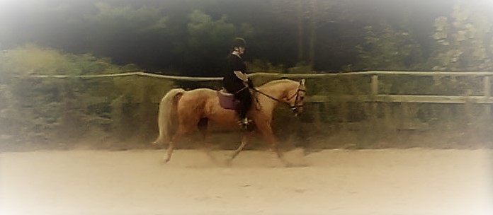 22140904_1916470901702372_7084416464408224661_n