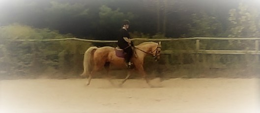 22140904_1916470901702372_7084416464408224661_n