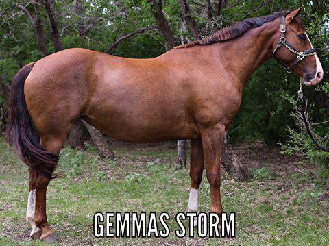 The Inside Scoop:&nbsp;Gemma