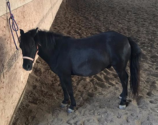 The Inside Scoop:&nbsp;Frederick