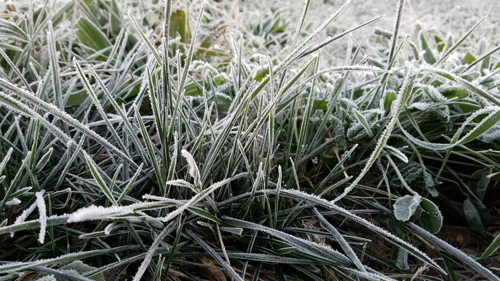 Blade’s Got the Blues and Equine&nbsp;Affaire