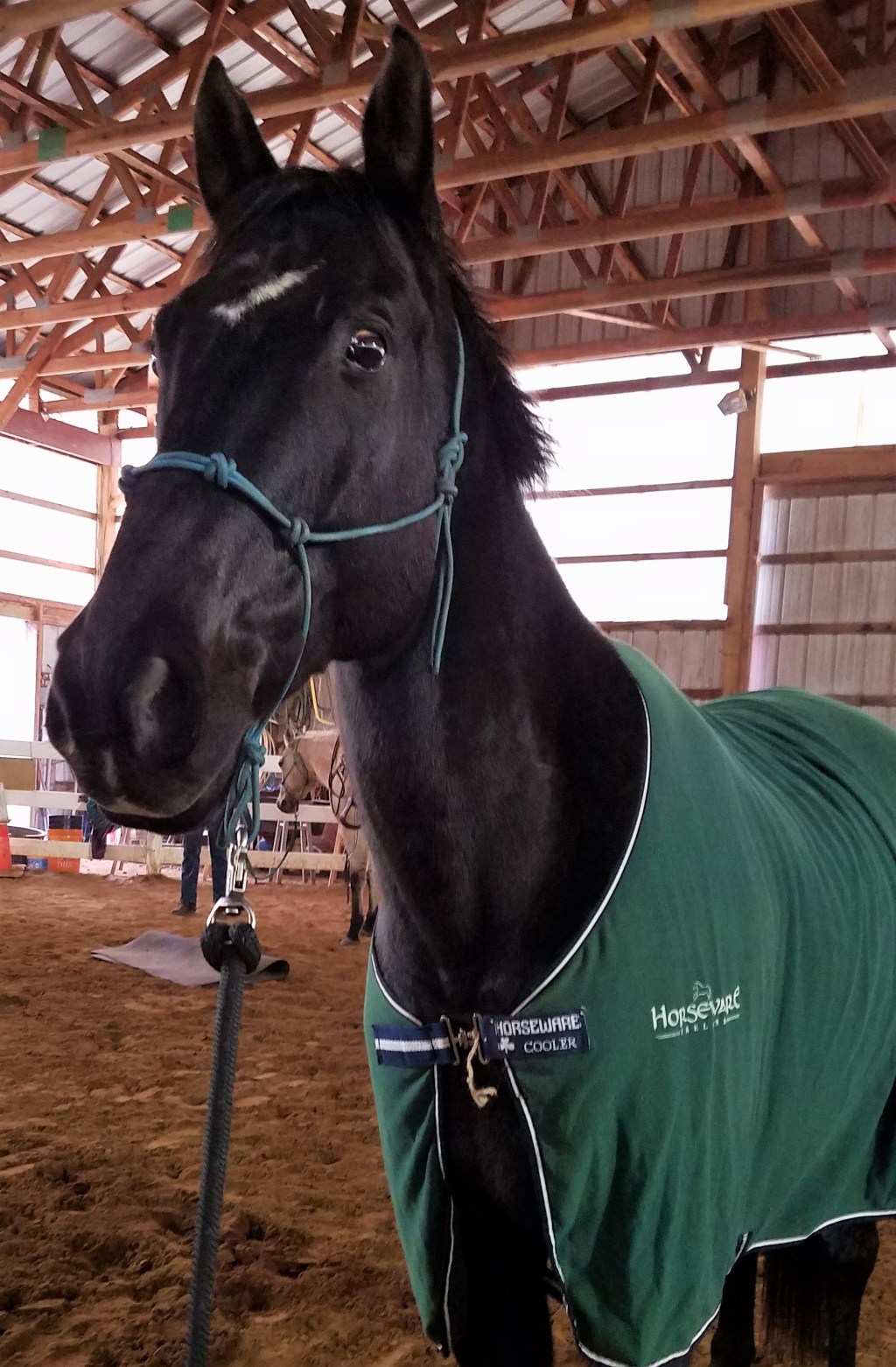 Big Changes for the Green&nbsp;Horseman