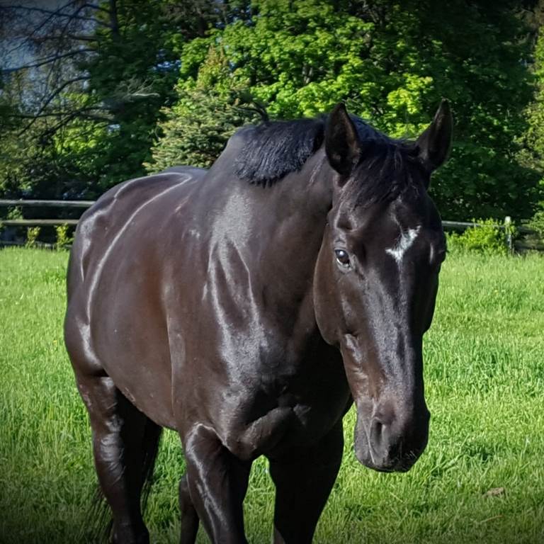 A Year in Review:&nbsp;2017