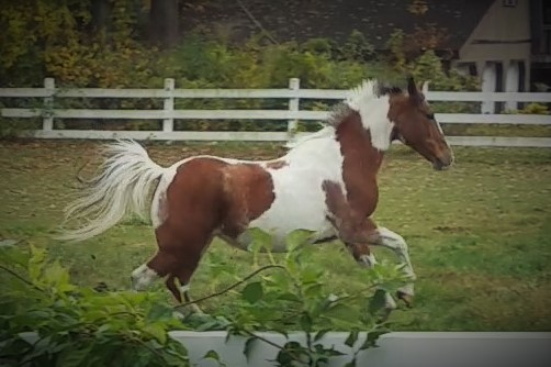 20171026_113948_Moment