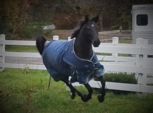 20171026_114044_Moment(4)