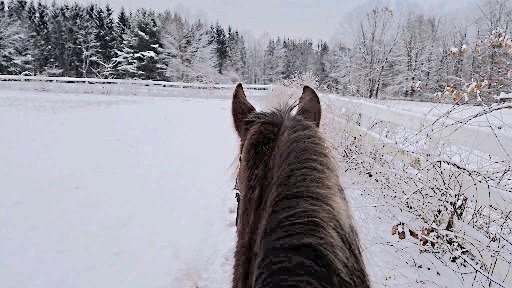 Focus On Fitness February:&nbsp;Warm-Ups