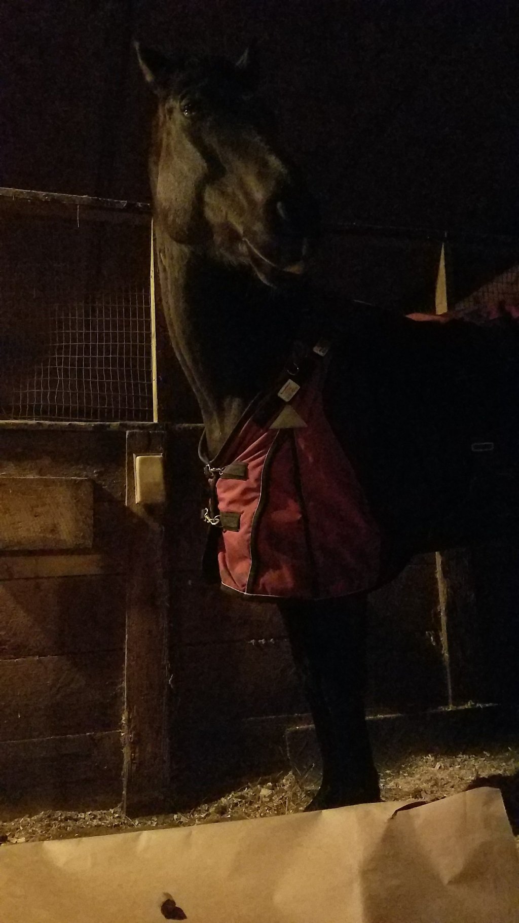 Did You Catch&nbsp;Me?