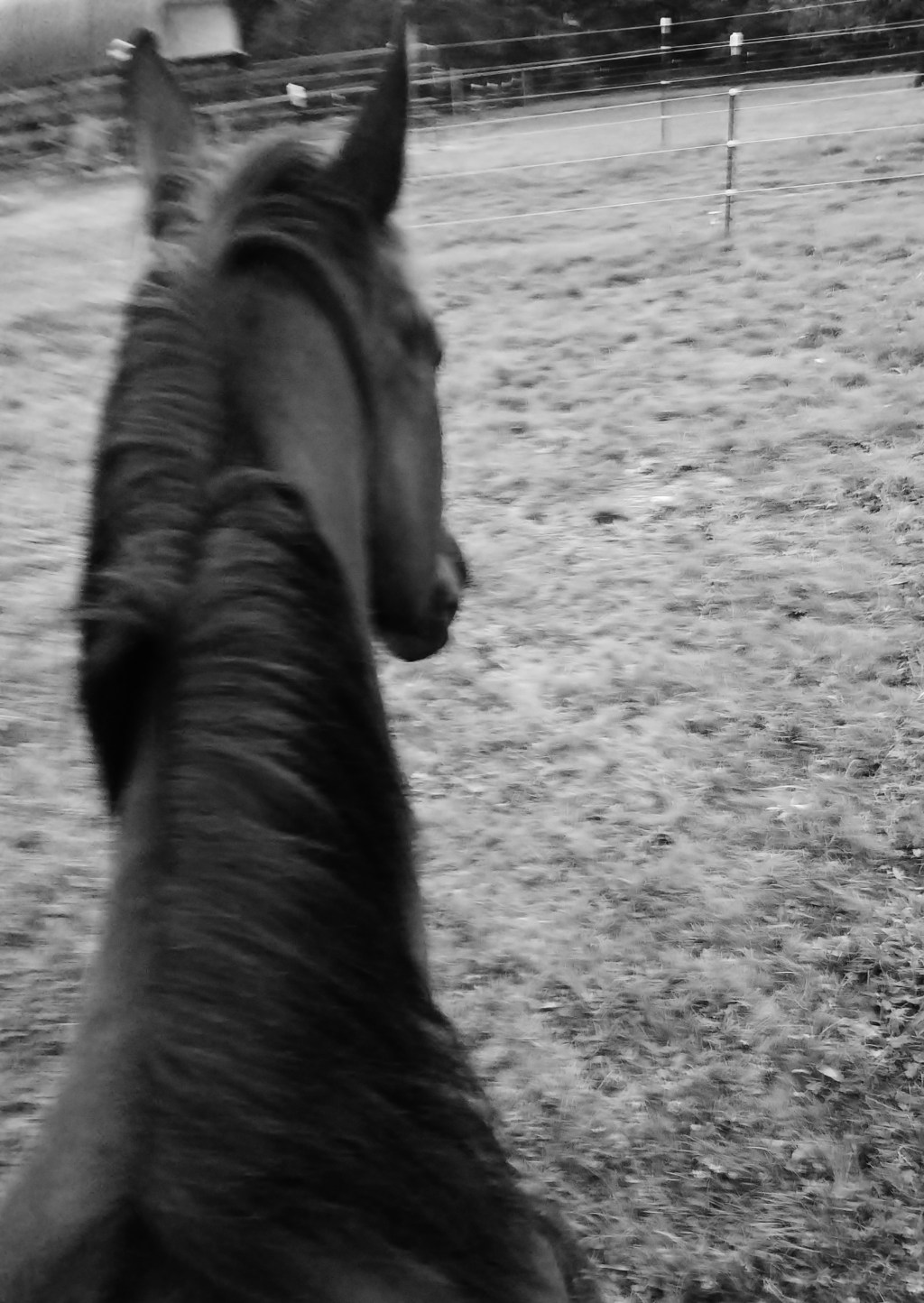 New Toys, New Tools, New&nbsp;Fun