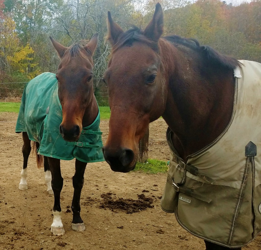 Happy Birthday and Thank&nbsp;You