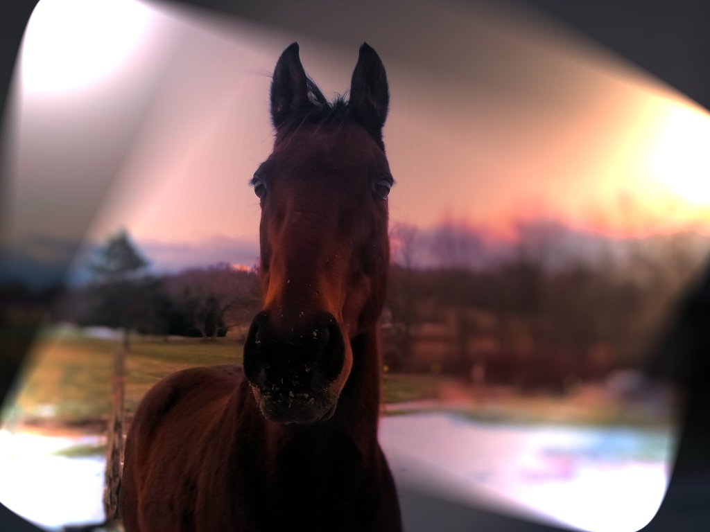 Christmas Festivities