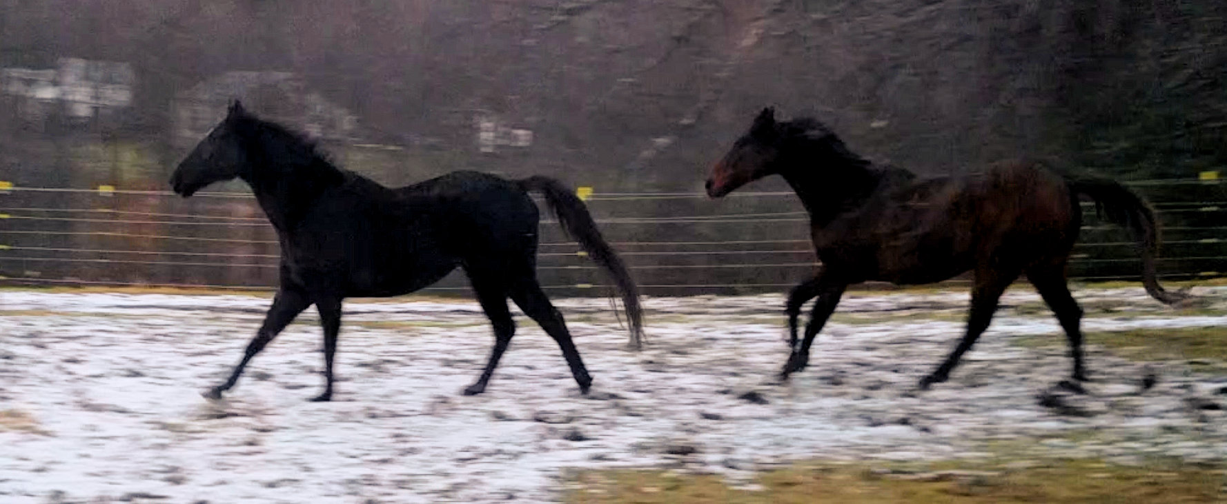 Screenshot_20181225-074334_Video Player