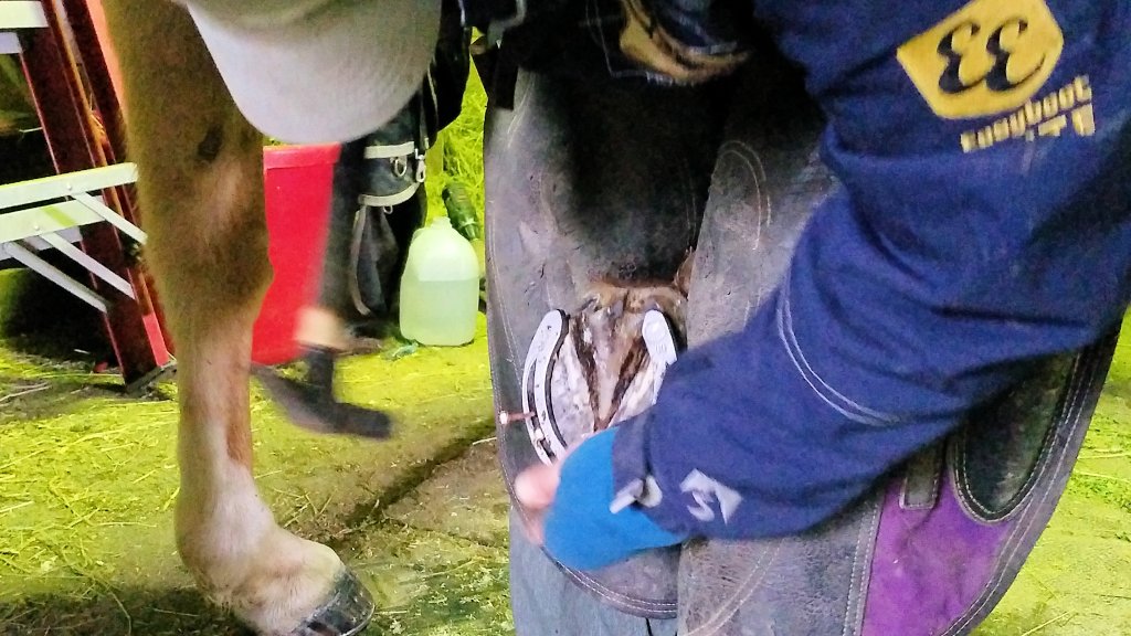 Interview With a&nbsp;Farrier