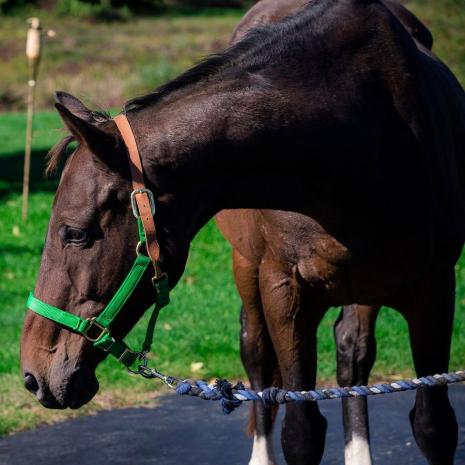 51947650_2034612619958733_8092221472363249664_n