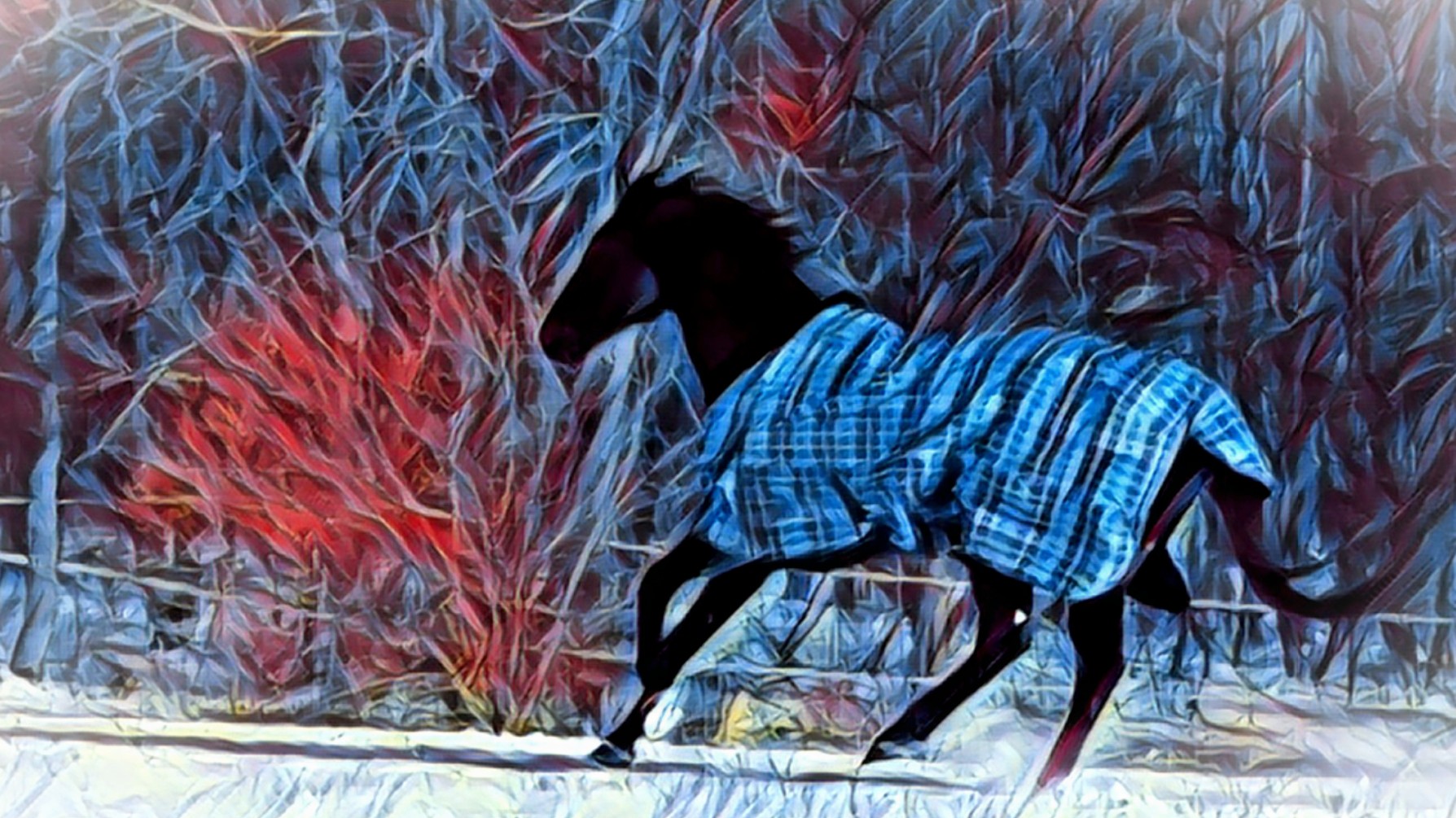 IMG_Surf_20190206_172557_processed