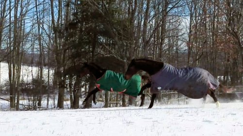 Screenshot_20190201-144151_Video Player