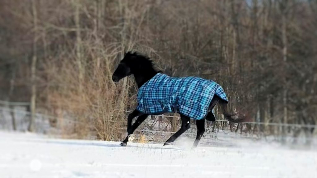 Wordless Wednesday – April 24&nbsp;2019