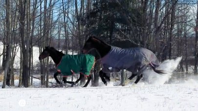 Screenshot_20190201-144458_Video Player