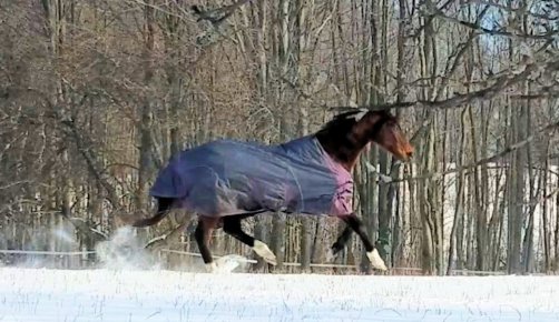 Screenshot_20190201-145026_Video Player