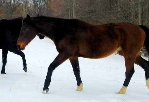 Screenshot_20190215-013941_Video Player