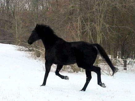 Screenshot_20190215-013823_Video Player