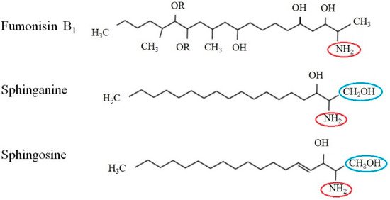 toxins-11-00114-g001-550