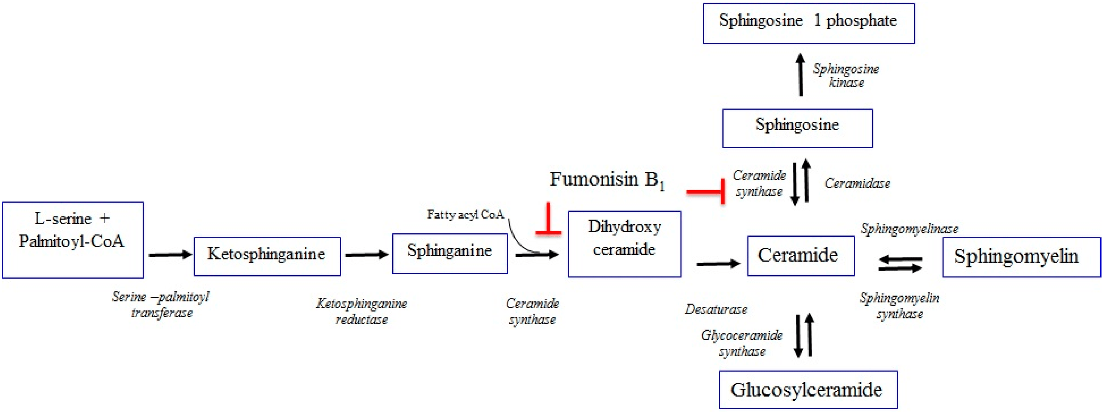 toxins-11-00114-g002