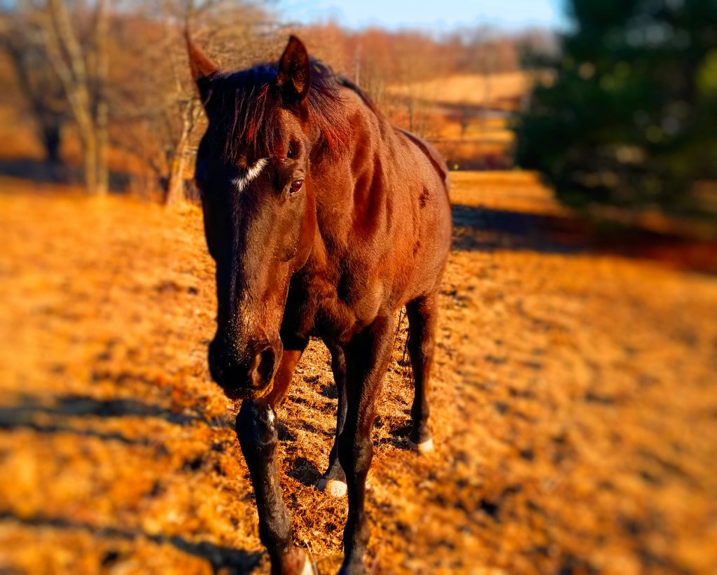 Wordless Wednesday – May 22&nbsp;2019