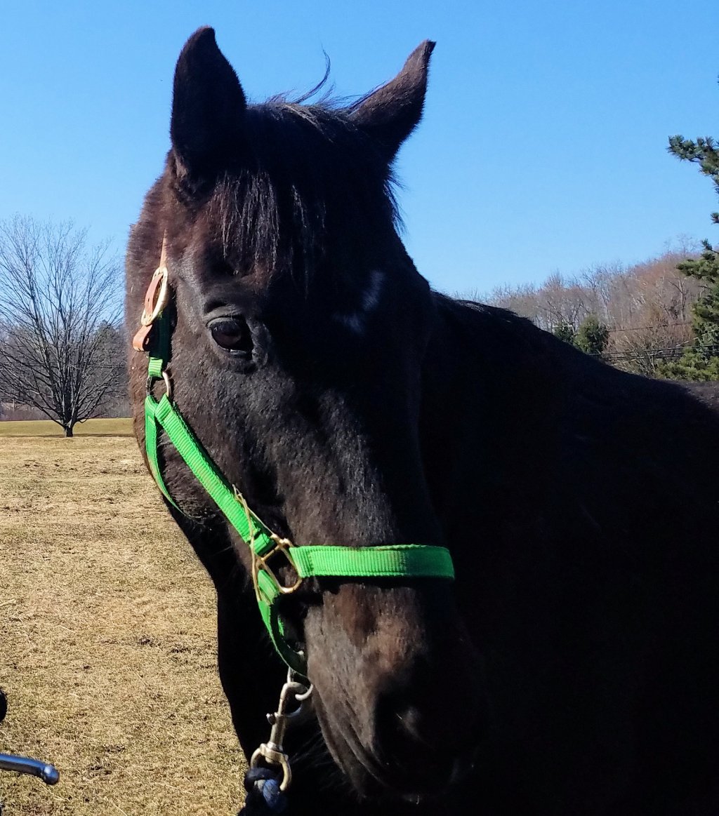 The Blade Chronicles: My&nbsp;Birthday