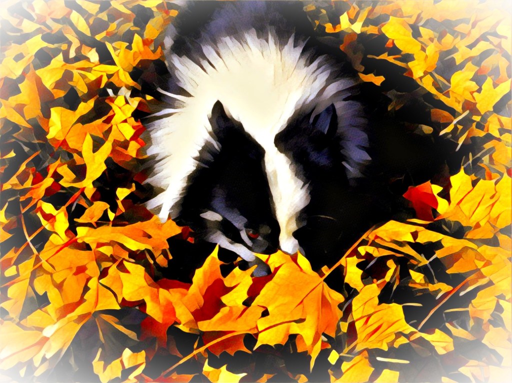 Wordless Wednesday – May 8&nbsp;2019