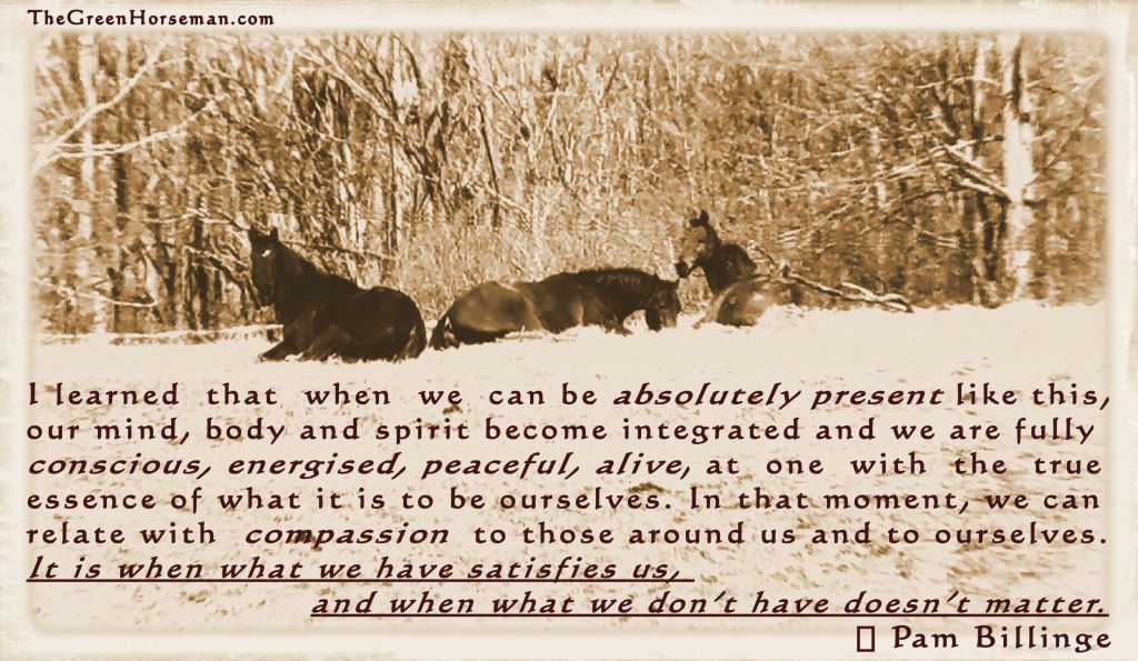 Wordless Wednesday – April 17&nbsp;2019