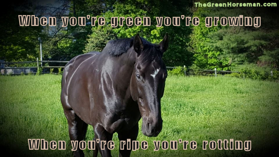 Wordless Wednesday – May 29&nbsp;2019