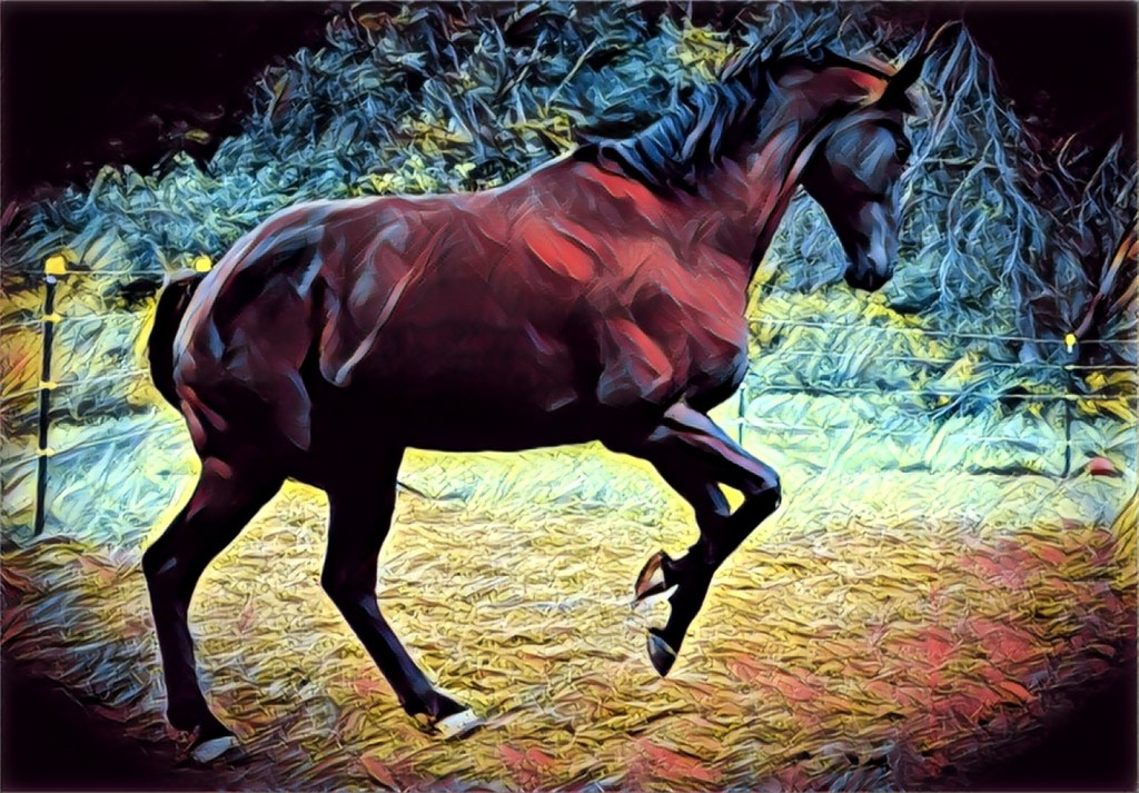 Wordless Wednesday – May 1&nbsp;2019