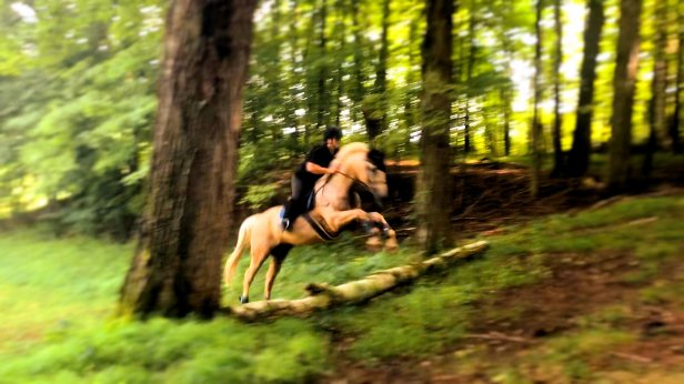 68487486_10156541431083157_4225348856839143424_n