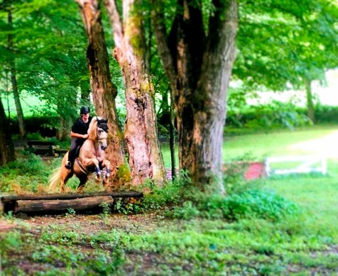 68530433_10156541431578157_7643797521969446912_n