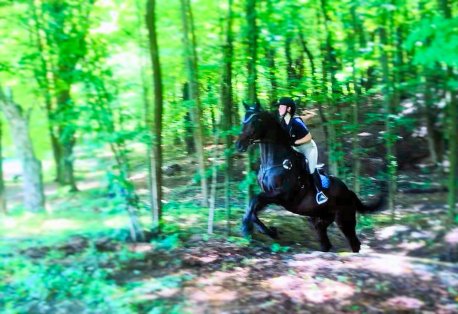 68694888_10156540891193157_5695077856552419328_n