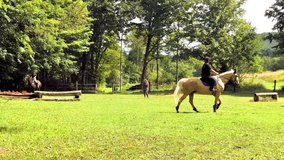 68930192_10156540708303157_2758340568584028160_n