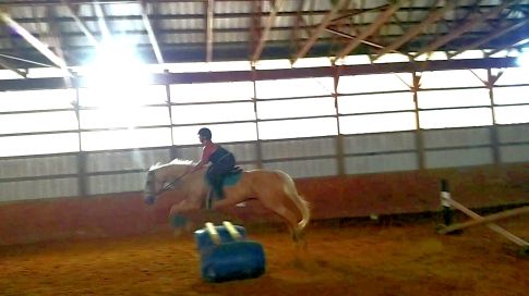 received_393115851394237