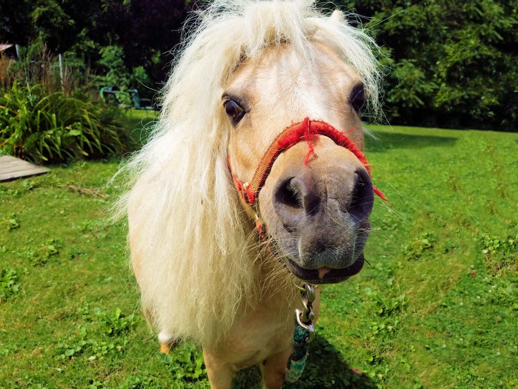 Wordless Wednesday –&nbsp;04/01/2020