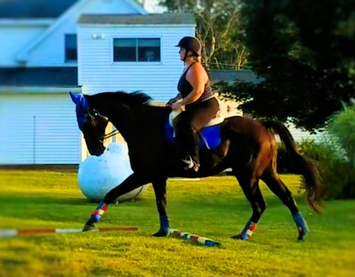 Screenshot_20190826-192556_Video Player