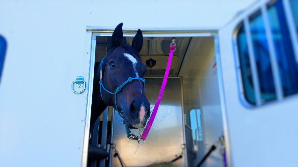 Tiger’s First Weeks