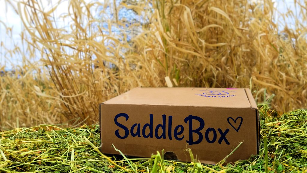 Product Review: The Saddle&nbsp;Box