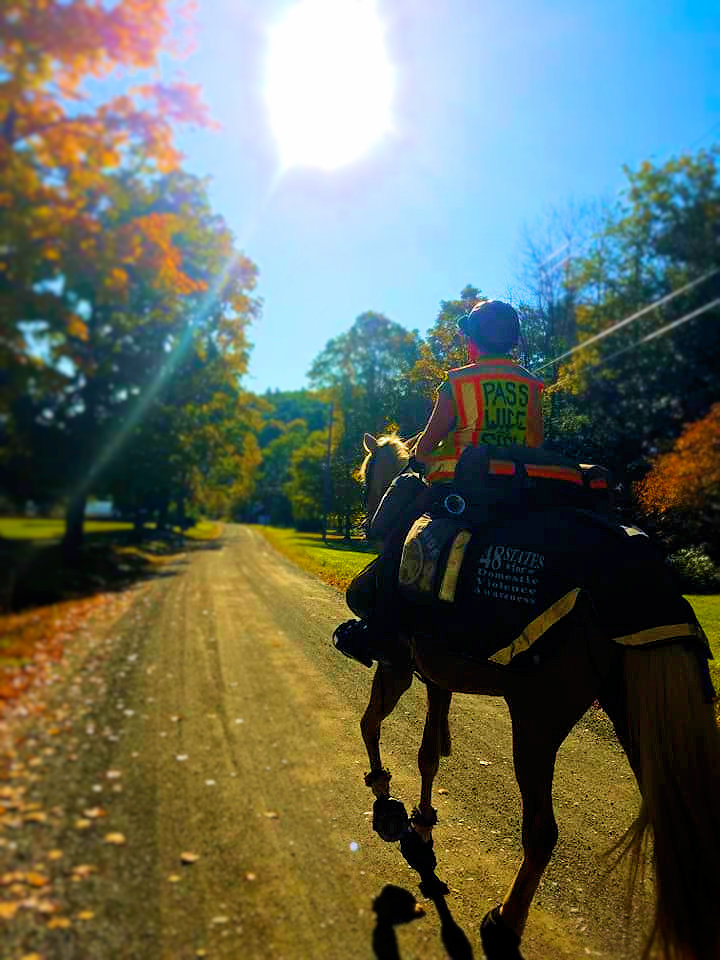 An Important Mission To End Domestic&nbsp;Violence