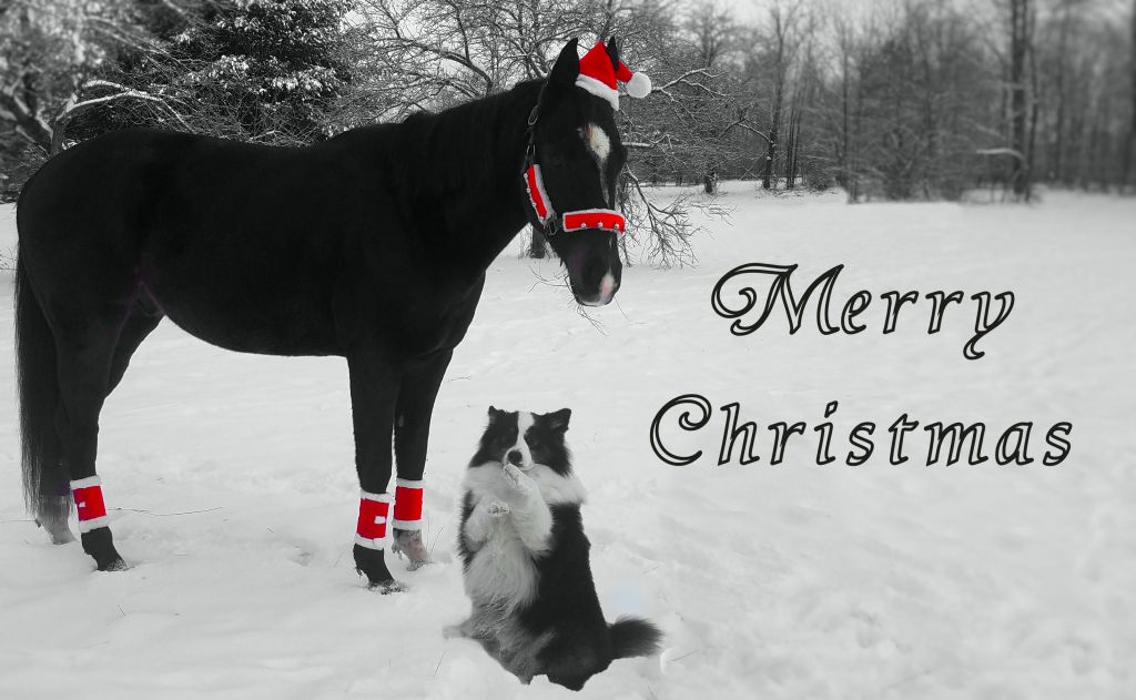 Wordless Wednesday –&nbsp;12/25/2019