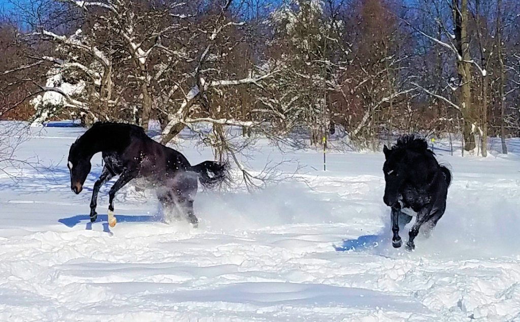 The Friends’ Final&nbsp;Frolics